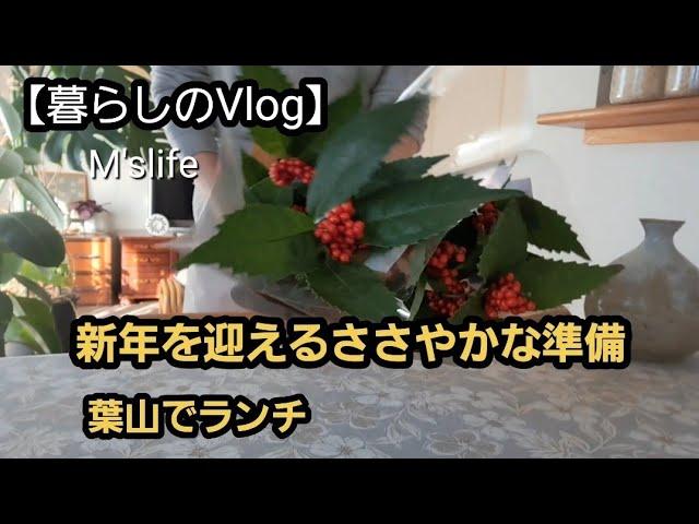 【暮らしのVlog】シニアライフ