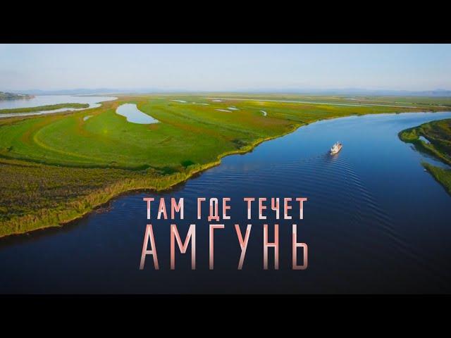 Там где течет Амгунь