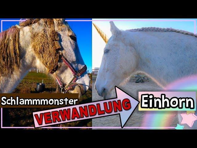 Vom SchlammMonster zum EINHORN  VERWANDLUNG  Anita Girlietainment Pferd