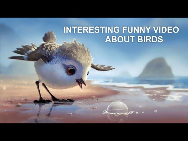 INTERESTING FUNNY VIDEO ABOUT BIRDS