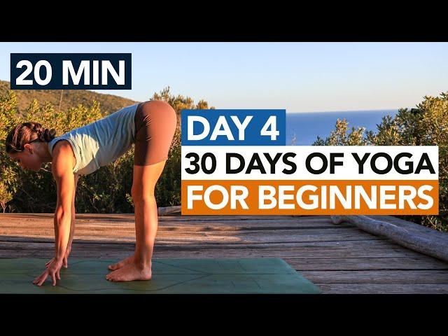 20 Min Full Body Beginner Yoga Flow (Day 4) 30 Days of Yoga For Beginners