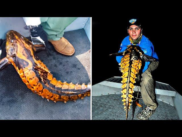 UN PESCADOR AFORTUNADO ATRAPÓ ALGO INCREÍBLE