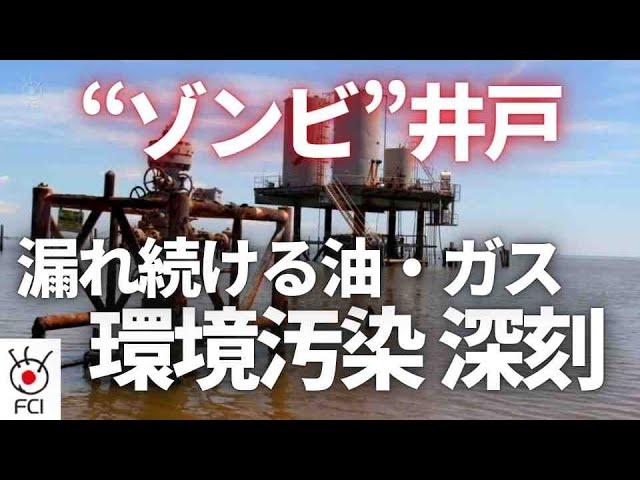 ＜ABCニュース特集取材　“ゾンビ”井戸の環境汚染深刻