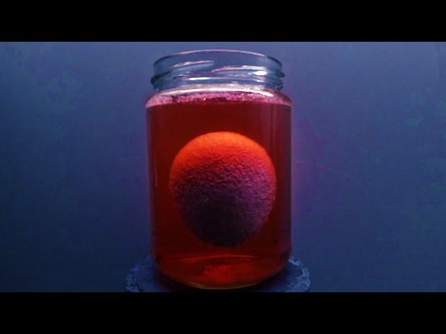 Ei ohne Schale DIY - How to make a bouncy egg