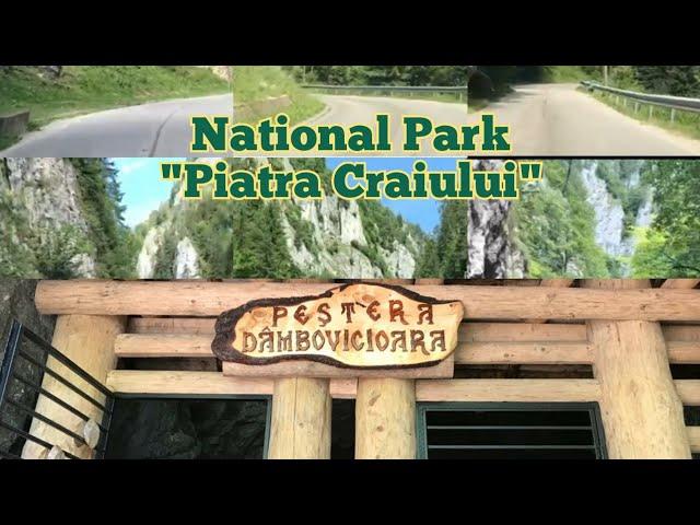 ROMANIANatureTrips |National Park "Piatra Craiului"|Trips to discover nature #2