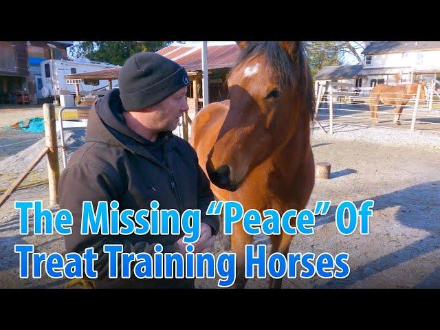 The Missing "Peace" Of Treat Training Horses