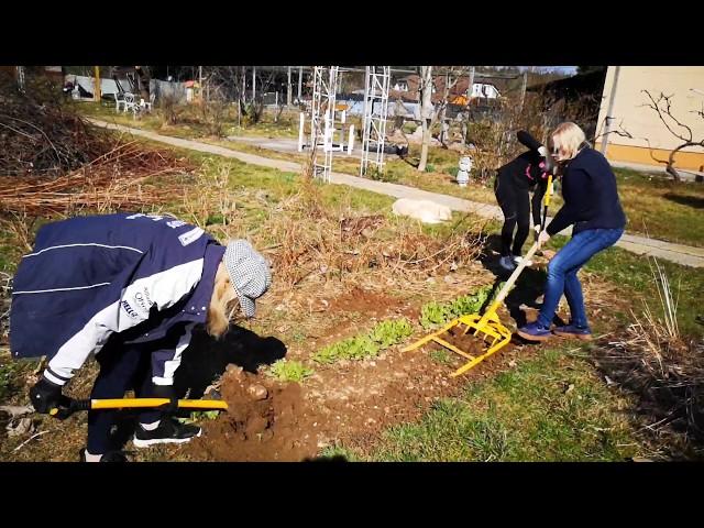 Russian soil preparation tool - ordinary and innovative