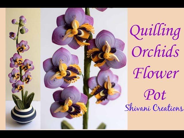 Quilling Orchids Flower Pot/ Quilled Orchid Flowers/ 3D Quilling