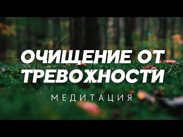 Почувствуйте успокоение и гармонию с медитацией на очищение от тревоги  @alexanderbaranovsky