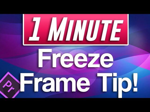 Premiere Pro Tutorial : How to Insert Frame Hold Segment on just One Clip / Track