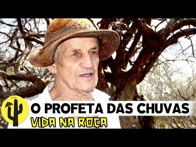 [VIDA NA ROÇA] PROFETA DAS CHUVAS: Previsões para Chuvas de 2025, Baseado na Natureza - Parte 02 