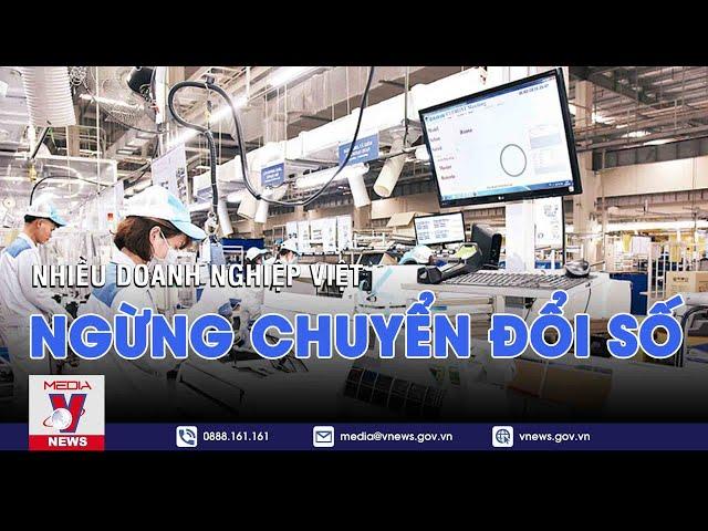 Nhiều doanh nghiệp Việt ngừng chuyển đổi số - VNEWS