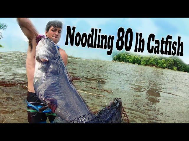 Noodling Catfish: Catching & Noodling Giant Catfish By Hand [Hillbilly Handfishing] | SFSC