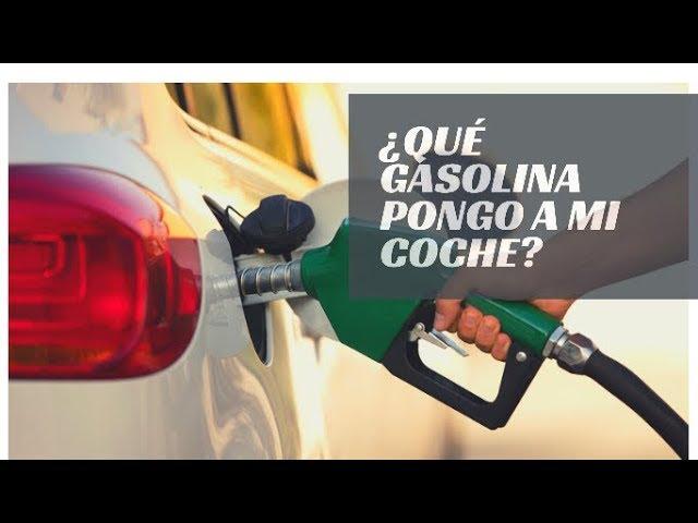 ¿Qué GASOLINA pongo a mi coche?