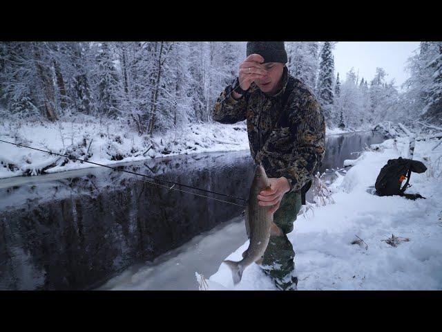 Large grayling on the taiga river, caught monsters again. He took the boat. Sea fishing.