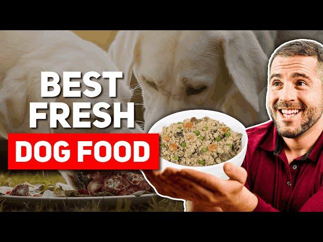 Best Fresh Dog Food Brands (2024)