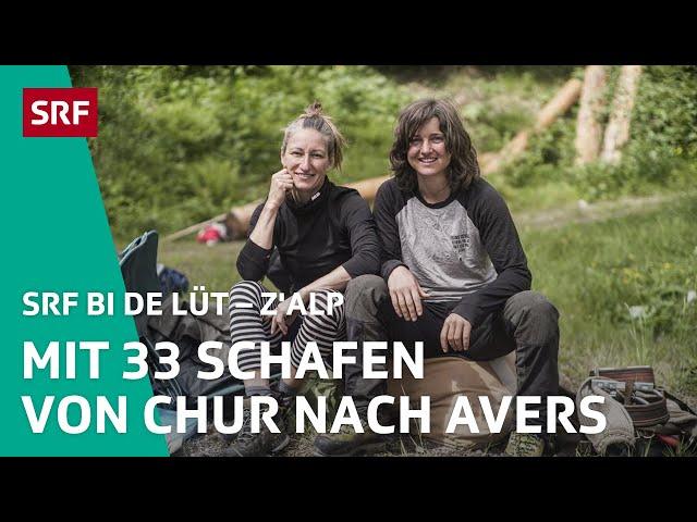 Flavia & Fabiennes 60 km Wanderung mit 33 Schafen | Z'Alp – SRF bi de Lüt | 2020 - 2/3 | SRF