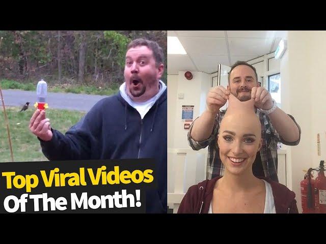 Top 30 Best Viral Videos Of The Month - May 2020 (Part 2)