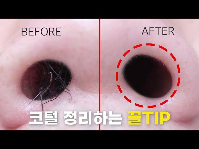 코털 관리 꿀TIP 대공개!!