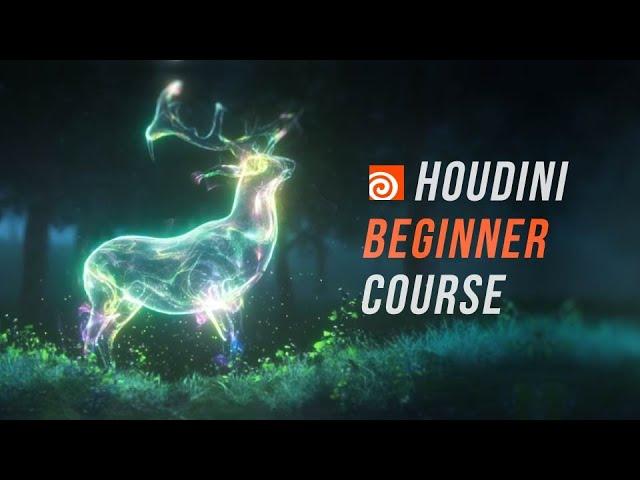 Intro To Houdini for VFX - Beginner Course