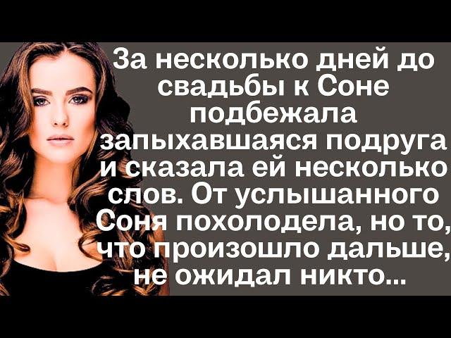 За несколько дней до свадьбы к Соне подбежала запыхавшаяся подруга и сказала несколько слов. От...