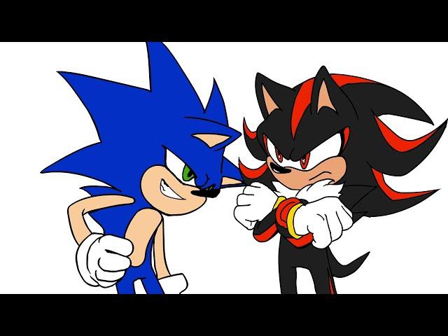 Does Shadow hate Sonic???