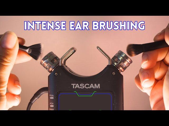 ASMR Tascam Ear Cleaning & Brushing (Crispy Sounds) - NO TALKING