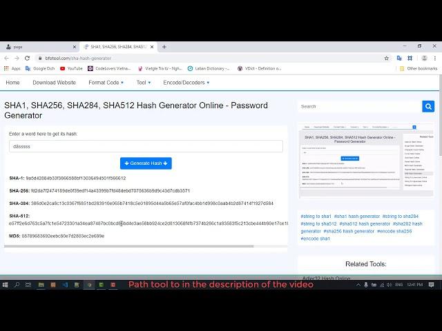 SHA1, SHA256, SHA284, SHA512  Hash Generator Online - Password Generator