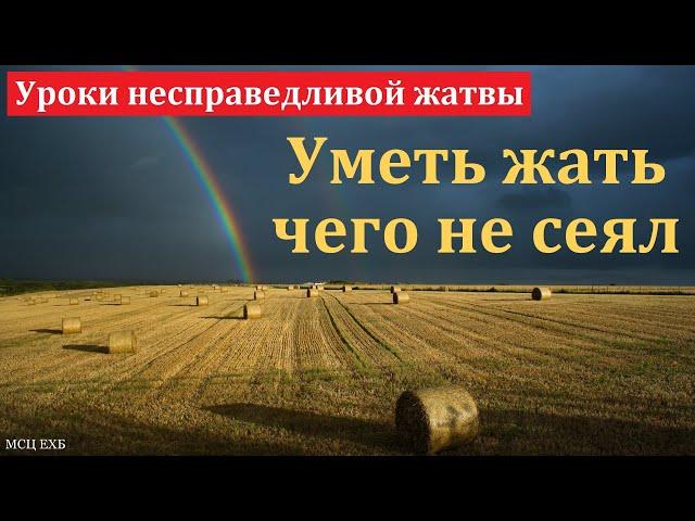 "Уметь жать чего не сеял". В. Шляховой. МСЦ ЕХБ.