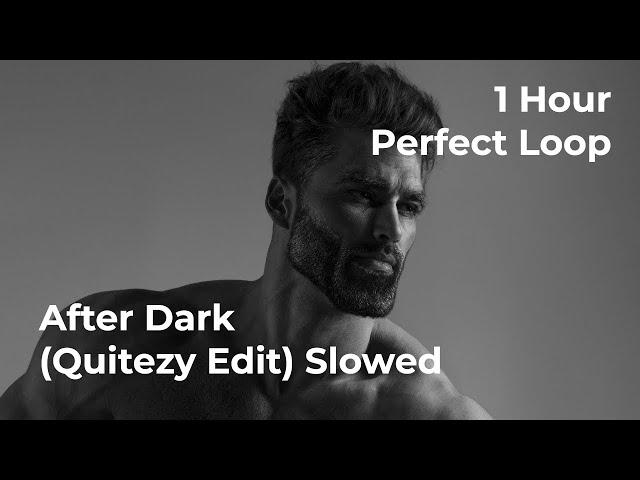After Dark | 1 Hour Perfect Loop | (Quitezy Edit) Slowed