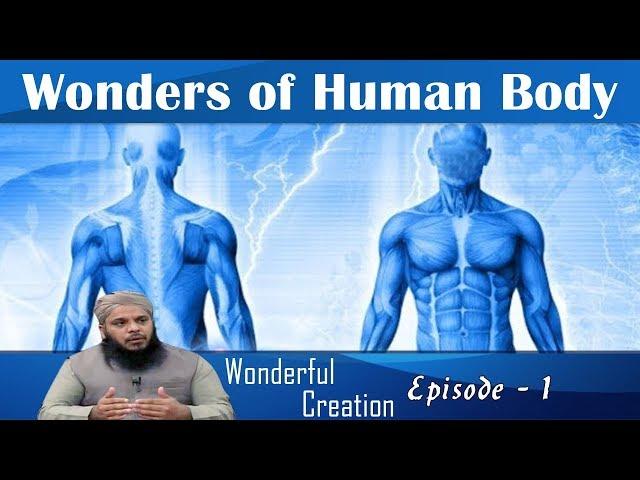 Wonders of Human Body - Wonderful Creation Episode 1 | Madani Channel English