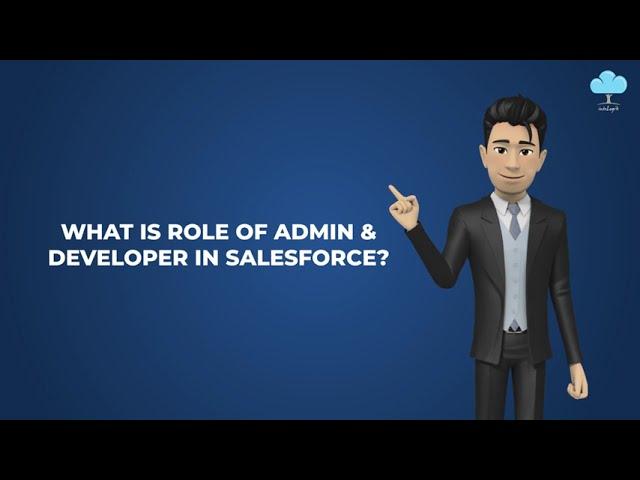 What Is Job Of Admin & Developer In Salesforce?