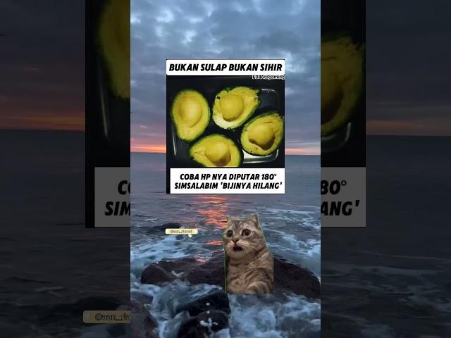 BUKAN SULAP BUKAN SIHIR#memes #videolucuterbaru #videoshort