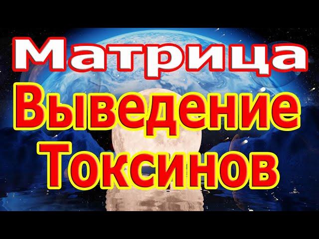 Сильнейшая Матрица Выведение Токсинов Просто Послушайте 5 минут.