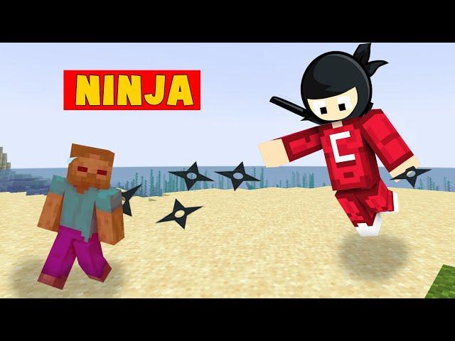 Minecraft Nhưng Tôi Là Ninja