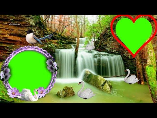 Green screen wedding effects | wedding background video effects  green screen video & photo