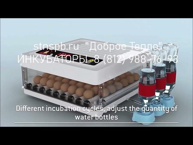 Автоматический инкубатор для яиц в Санкт-Петербурге