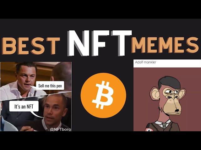 Best NFT Memes Compilation February