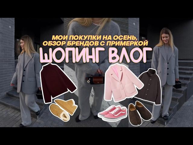 МОИ ПОКУПКИ  К ОСЕНИ И ОБЗОР БРЕНДОВ : VILET, SELA, INSPIRE, GATE31, DUB, WILDBERRIES, LIME, BEFREE