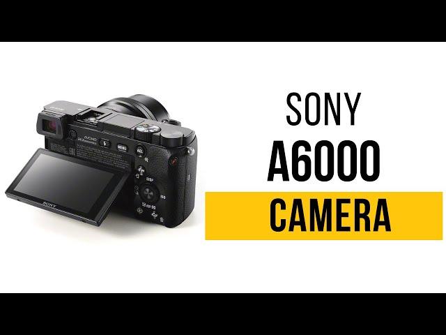 Sony Alpha A6000 Mirrorless Digital Camera With 16-50mm Lens