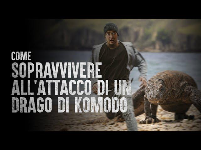 Come Sopravvivere all'Attacco di un Drago di Komodo