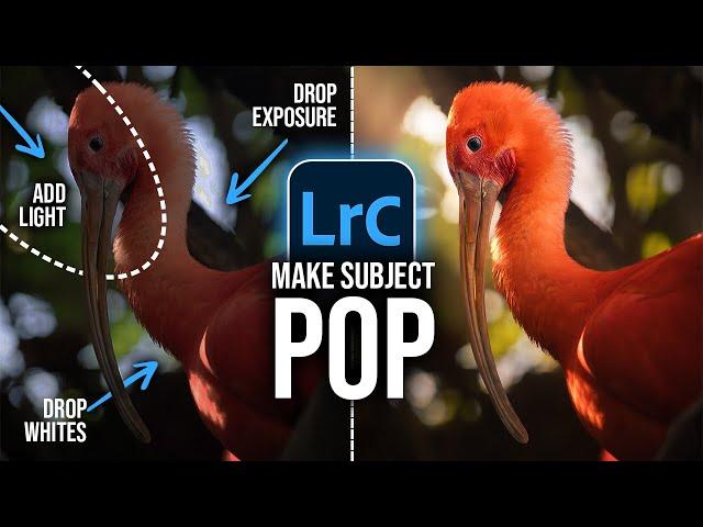 Make Your SUBJECT POP in LIGHTROOM Classic!