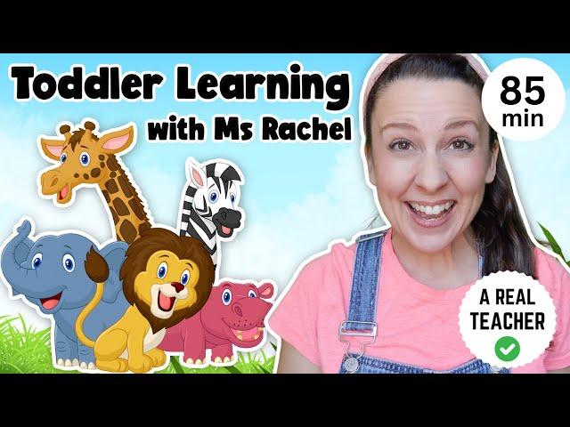 Toddler Learning with Ms Rachel - Learn Zoo Animals - Kids Songs - Educational Videos for Toddlers