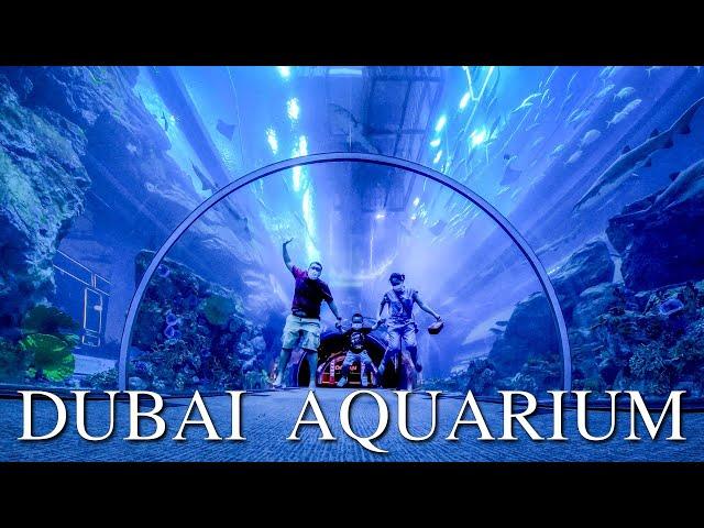 Exploring DUBAI AQUARIUM & UNDERWATER ZOO