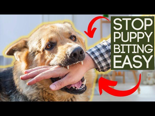 STOP PUPPY BITING IN SECONDS