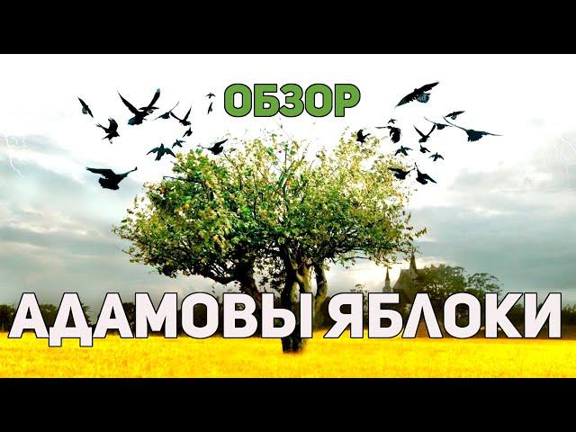 Адамовы яблоки - Обзор фильма