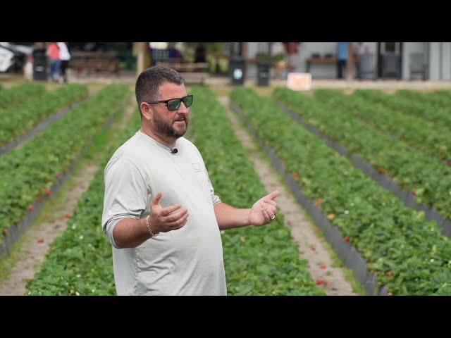 Local strawberry farmer overcomes hurricane setbacks to produce sweeter harvest