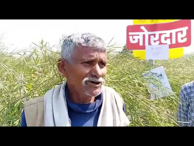 Farmer Testimonial on Mustard Zordar Product Launch || Nuziveedu Seeds