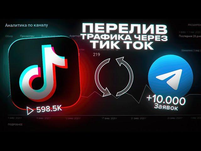 Трафик из ТикТок в Телеграм или Как Заработать 1000$ за Один Месяц!