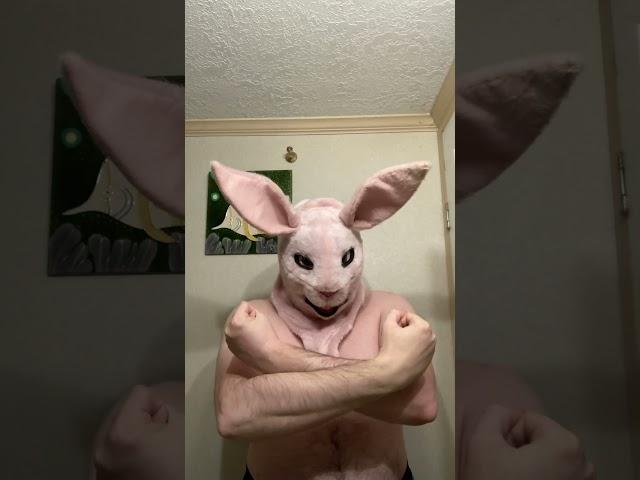 Bunny  Mask